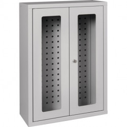 Armoire à suspendre H750xl500xP200 mm fenêtre tôle d’acier gris clair, RAL 7035/gris clair,RAL 7035
