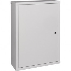Armoire à suspendre H750xB500xT200 mm tôle pleine, 1 fond tôle d’acier gris clair, RAL 7035/gris clair,RAL 7035