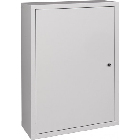 Armoire à suspendre H750xB500xT200 mm tôle pleine, 1 fond tôle d’acier gris clair, RAL 7035/gris clair,RAL 7035