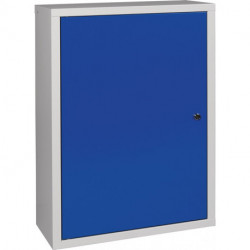 Armoire à suspendre H750xB500xT200 mm tôle pleine 1 fond tôle d’acier gris clai