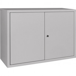 Armoire à suspendre H600xl800xP300 mm tôle pleine 1 fond tôle d’acier gris clai
