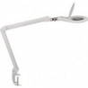 Éclairage à loupe à LED lunette 127 mm (5 po.) Pince de table blanc