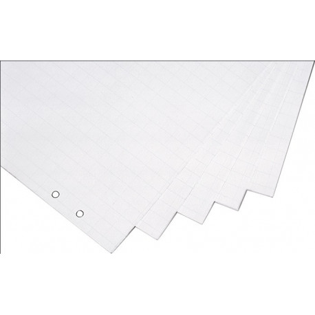 Bloc de chevalet l.650xH930 mm à carreaux/sans impression 5 x 20 feuilles MAGNETOPLAN