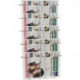 Porte-prospectus H780xl436xP mm nombre de casiers 5 DIN A3 fil argent