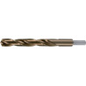 Foret hélicoïdal DIN 338 Typ N D.20mm HSS-Co5 queue dégagée RUKO