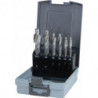 Jeu de fraises à lamer DIN373 Avant-trou M3-M10 coffret plastique HSS