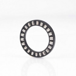 Roulements à rouleaux cylindriques axiaux K81106 TN Ext 47mm Int 30mm 0016kg INA