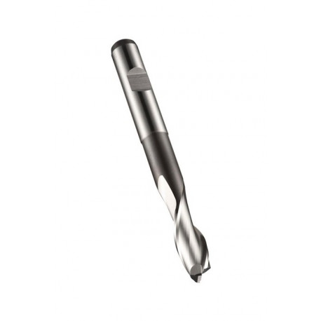 Fraise à rainurer Werksnorm L.74.5mm HSS-E Brut Z.2 DORMER