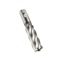 Fraise C403 Gesamt-L.252mm L.171.5mm HSS-E Brut 30 degrés Z.6 DORMER