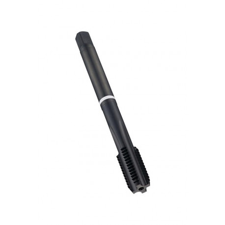 Taraud de machine DIN 376C E252 M22x2.5mm HSS-E-PM trempé 2XD 6HX DORMER