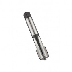 Taraud machine C G 3/4 pouces x14 HSS-E-PM brillant Normal DORMER