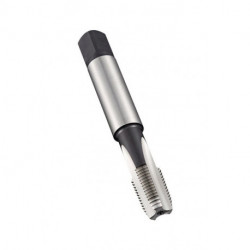 Taraud de machine Werksnorm-ANSIC NPT 3/8 pouces x18 HSS-E-PM brillant Normal DOR