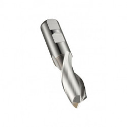 Fraise à rainurer L.64.5mm HSS-E-PM Brut Z.2 DORMER