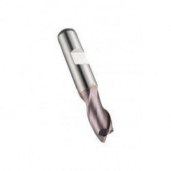 Fraise à rainurer D.9.5mm HSS-E-PM TiCN Z.2 DORMER