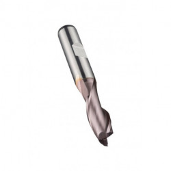 Fraise à rainurer HSS-E-PM TiCN Z.2 DORMER
