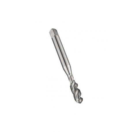 Taraud machine Werksnorm-ISOC EGM8x1.25mm HSS Brut 6H DORMER
