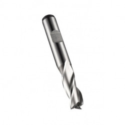 Fraise à rainurer HSS-E-PM brillant Z.3 DORMER