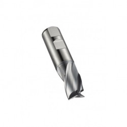 Fraise à rainurer L.45.5mm HSS-E-PM ALCRONA Z.3 DORMER