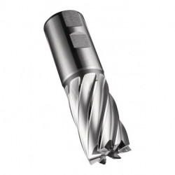 Fraise C247 DIN 844 K D.36mm Coupe-L.53mm HSS-E-PM Brut 30 degrés Z.6 DO