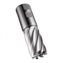Fraise C247 DIN 844 K D.36mm Coupe-L.53mm HSS-E-PM Brut 30 degrés Z.6 DO