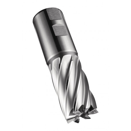 Fraise C247 DIN 844 K D.25.4mm Coupe-L.45mm HSS-E-PM Brut 30 degrés Z.5