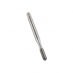 Taraud M2.5 Form C HSS-E Brut 6HX DORMER