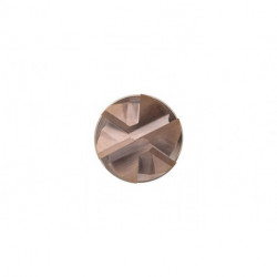 Fraise S527 Werksnorm Lg Total.100mm HM TiSiN 50 degrés Z.6 DORMER