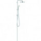 Système de douche Grohe TEMPESTA SYSTEM 200 avec conversion pour montage mural chrome