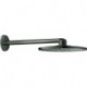 Tête de douche Grohe RSHOW SmAct 310 graphite dur