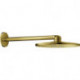Tête de douche Grohe RSHOW SmAct 310 co sun brossé