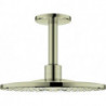 Tête de douche Grohe RSHOW SmAct 310 Ni pol