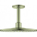 Tête de douche Grohe RSHOW SmAct 310 Ni brossé