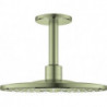 Tête de douche Grohe RSHOW SmAct 310 Ni brossé