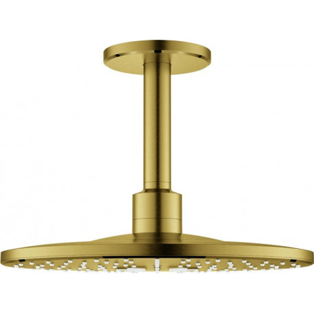 Tête de douche Grohe RSHOW SmAct 310 co sun brossé