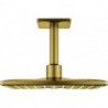 Tête de douche Grohe RSHOW SmAct 310 co sun brossé