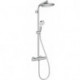 Colonne de douche 240 1jet EcoSmart chromé