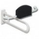 Support arrière pour appui WC SERIE 801 droite gris anthracite