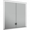 Meuble miroir ROYAL LUMOS 700 x 735 x 165 mm anodisé argenté KEUCO