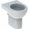 WC à fond creux Geberit RENOVA 4.5/6 L Abhorizontal blanc KT