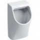 Urinoir Geberit Renova Plan, alimentation encastrée, sortie encastrée: T:30cm, Sortie:Encastrée, Arrivée d'eau:Encastrée , Blanc