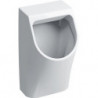 Urinoir Geberit Renova Plan, alimentation encastrée, sortie encastrée: T:30cm, Sortie:Encastrée, Arrivée d'eau:Encastrée , Blanc