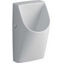 Urinoir sans eau Geberit Renova Plan, sortie encastrée: T:30cm, Sortie:Encastrée, Blanc