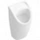 O.novo, Urinoirs, 290 x 495 x 245 mm, alimentation encastrée, En porcelaine sanitaire Blanc CeramicPlus