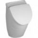 Urinoirs, 290 x 495 x 245 mm, alimentation encastrée, En porcelaine sanitaire Blanc CeramicPlus