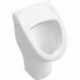 O.novo, Urinoirs, 300 x 530 x 310 mm, alimentation encastrée, En porcelaine sanitaire Blanc