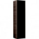 Colonne haute Geberit Citterioavec une porte: Largeur 40cm, Hauteur 160cm, Profondeur 37.1cm, noir / verre brillant, chêne gris brun / mélamine structuré bois