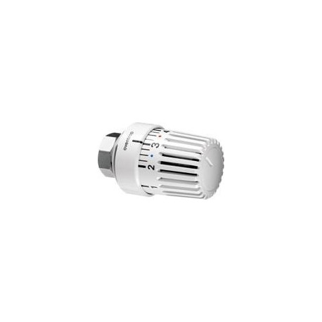 THERMOSTAT UNI LH M 30 x 1.5