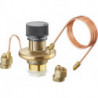 TETE POURHYCOCON DP , 250-600mbar, DN15 A DN 25