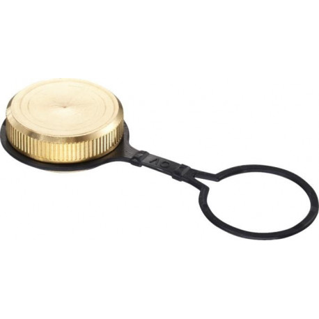 BOUCHONavec JOINT PLAT ET ANNEAU DE FIXAT. DN10/15, 3/4F