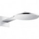 tête de douche 250 1jetavec bras de douche 450 mm chroméé